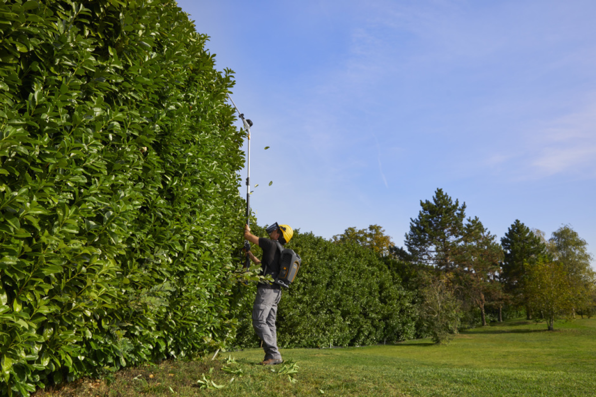 STIGA akkumulátoros magassági sövényvágó SPH 900 AE (akkumulátor és töltő nélkül) - Image 9
